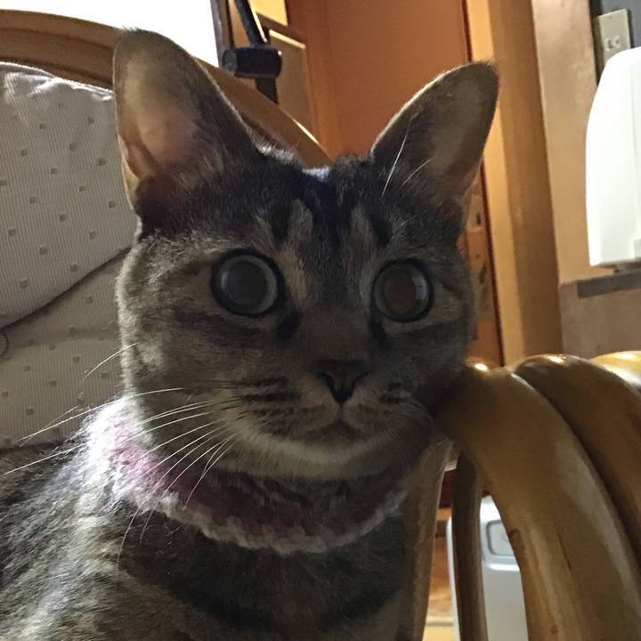 Af76a5a6 5c0c 4093 bc7d b57ab8a01b39 1659613812941