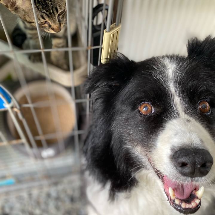 Af76bc99 2fd0 4a82 bdbf 0e352cfa6de2 1658707539345