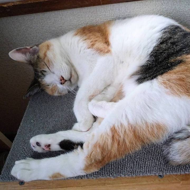 Af76c043 a78c 4ba3 958c 3f5c2b4ecdfd 1754292170684