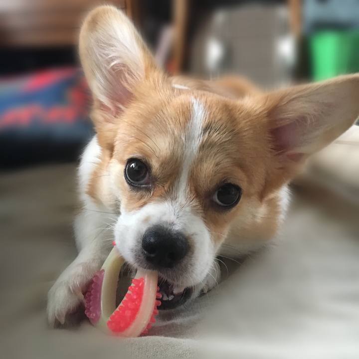 Af76c0ed 798a 4b56 8327 8a6a3927c27b 1566784775639