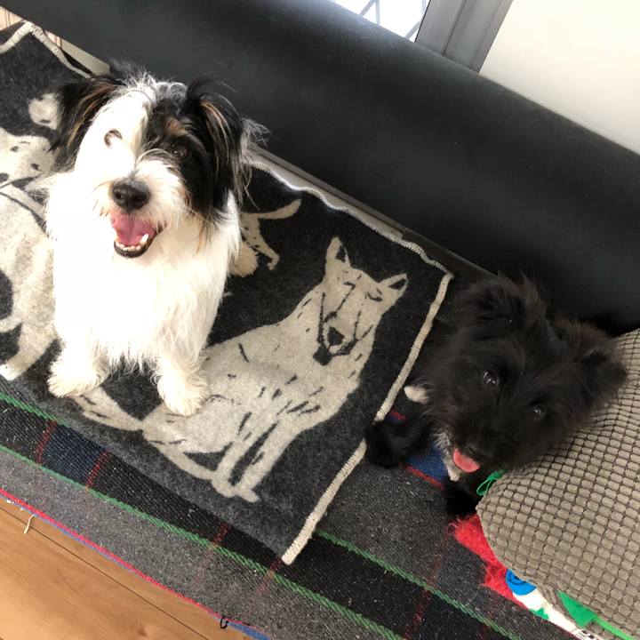 Af76cb3b 6080 4463 af63 aff3becfcbd8 1533163828995