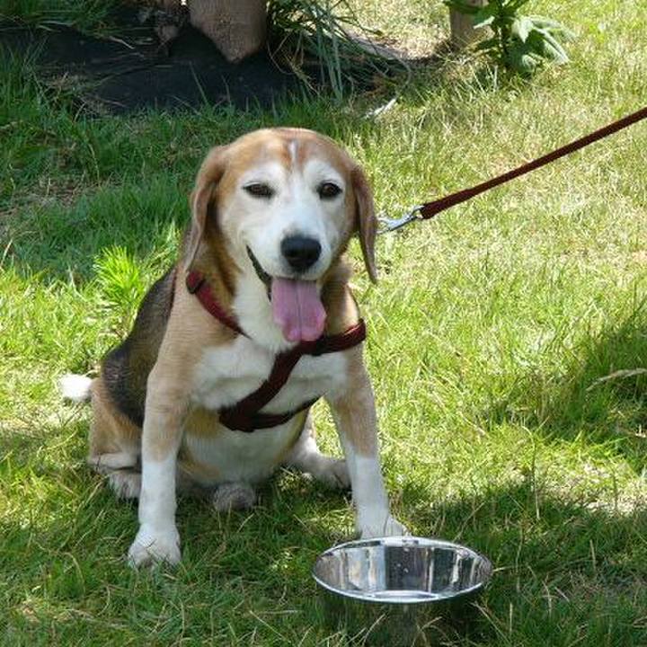 Af76d8db 8580 4520 8411 6833681d4cb6 1721004451261