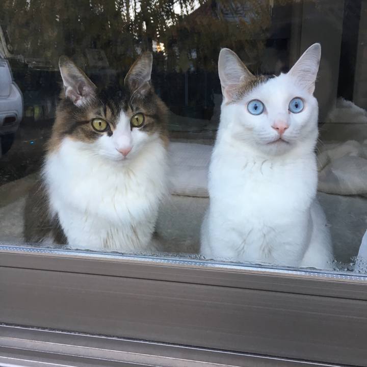 Af7700e1 4238 4120 b665 a98b97f7f525 1546304015829