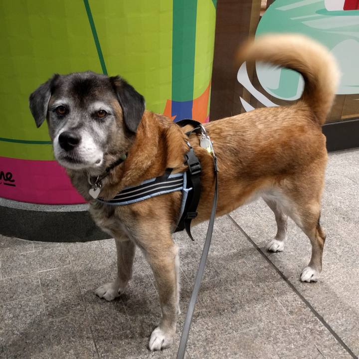 Af770fd0 f7d0 41a0 a95d 9e3d051ea2dc 1542381891582