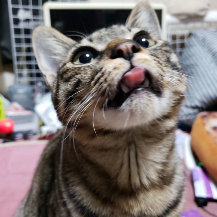 Af77180c 9a86 47c2 8ba2 be2ab032a5e9 1546919813903