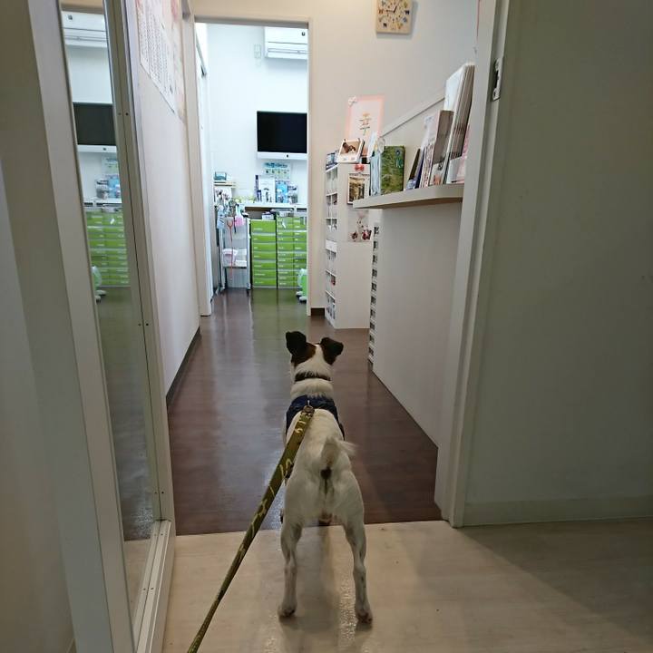 Af772d24 6bab 4389 8417 9e4e3b07eb9d 1519444494504