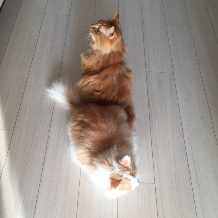 Af778b0a 9b94 44b7 96c5 41c184be1e1a 1518127084498