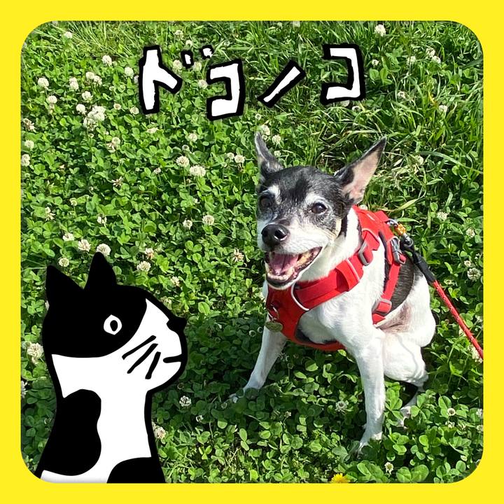 Af77b13f d21f 44d8 b781 38c53f30d549 1622863254321