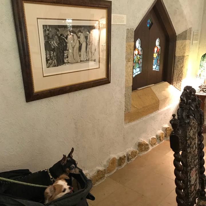 Af7819fb c4d0 4998 a106 d18db3b51059 1566730847934