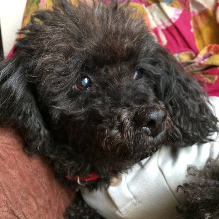 Af783ebf 25cf 45ce 9481 6d468aa1ad99 1512623153620