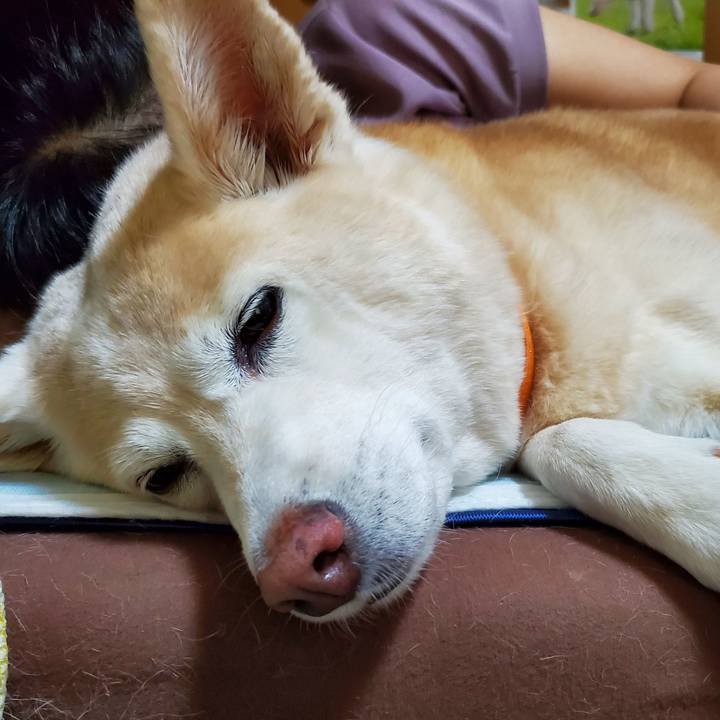 Af787495 85c8 4ad7 8d41 775f305ee5ee 1623573199910