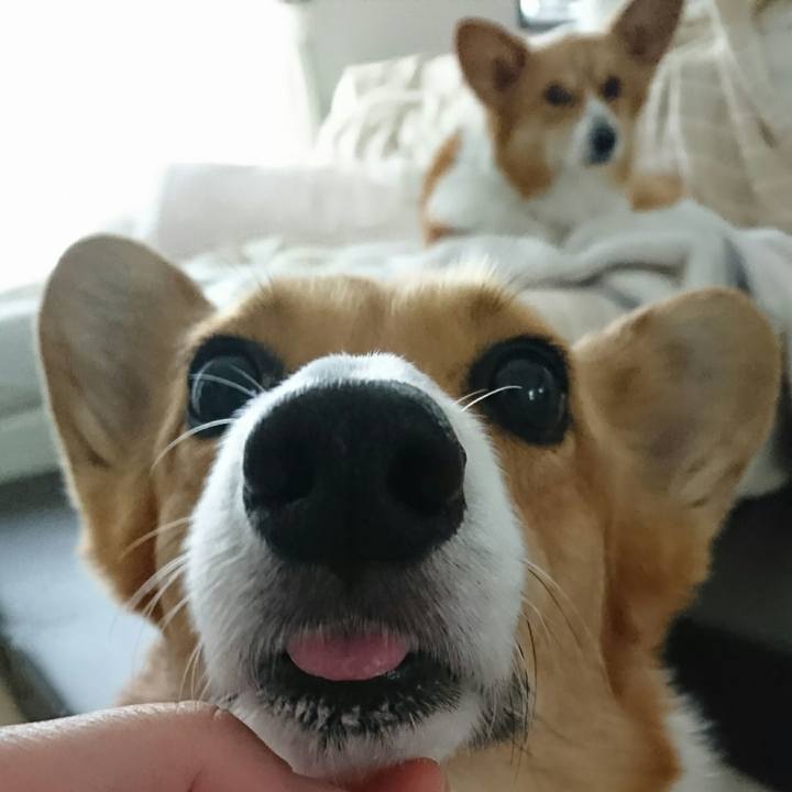 Af7874c2 3b84 4236 8755 04aa540883a2 1523712885133