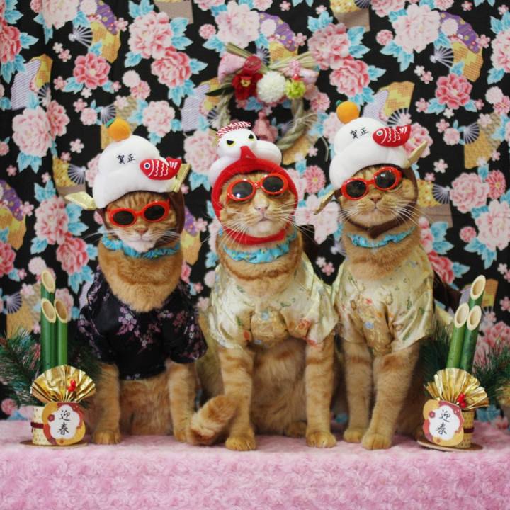 Af7874e6 f3df 480c ab3d 1d8902616730 1735712290128