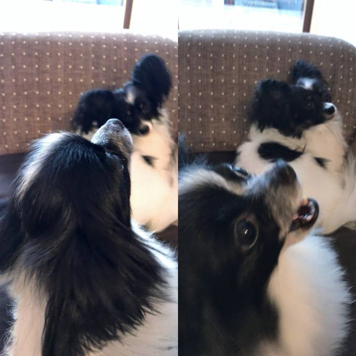 Af789764 41c3 4a78 96f5 187b923c5d65 1508645108333