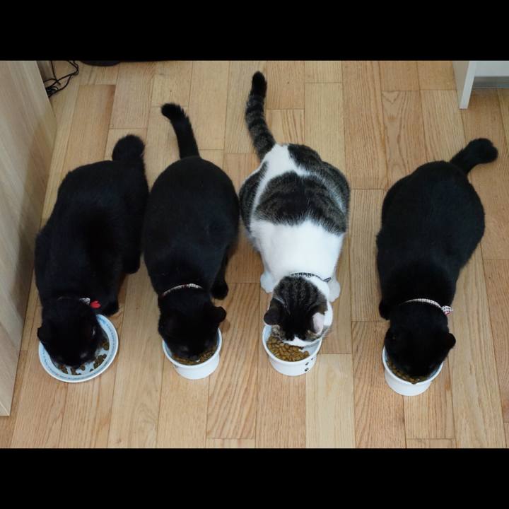 Af789e08 7eb6 49fb 9816 44f41ef83123 1532139517449