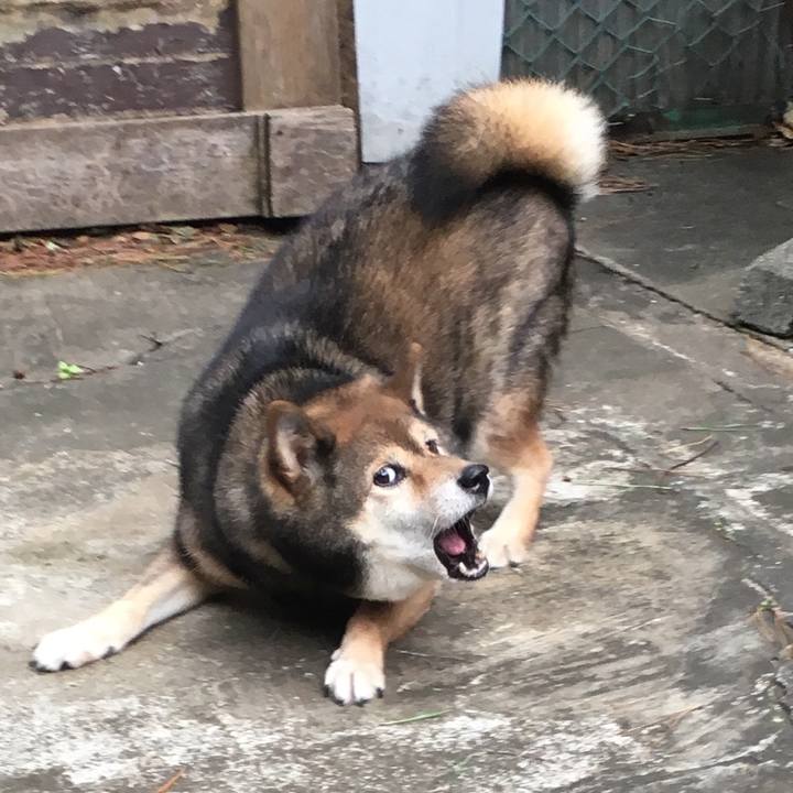 Af78c1eb dabb 45b9 9fe1 04bdd27f45d0 1566033019893