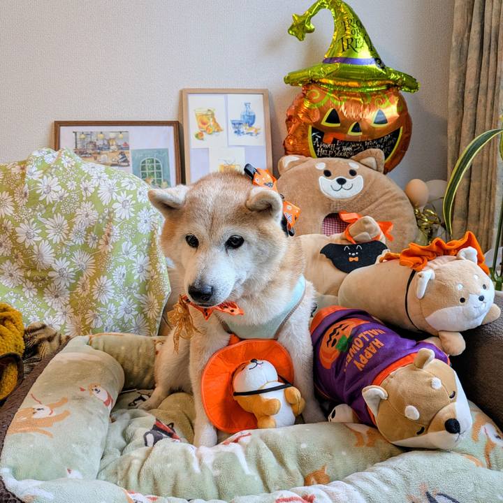 Af78ca7a d882 490c b2b8 472b26121650 1761873722745