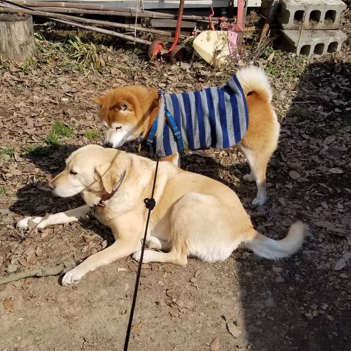 Af792464 29b6 4296 95ba b06272bbbf77 1551162313244