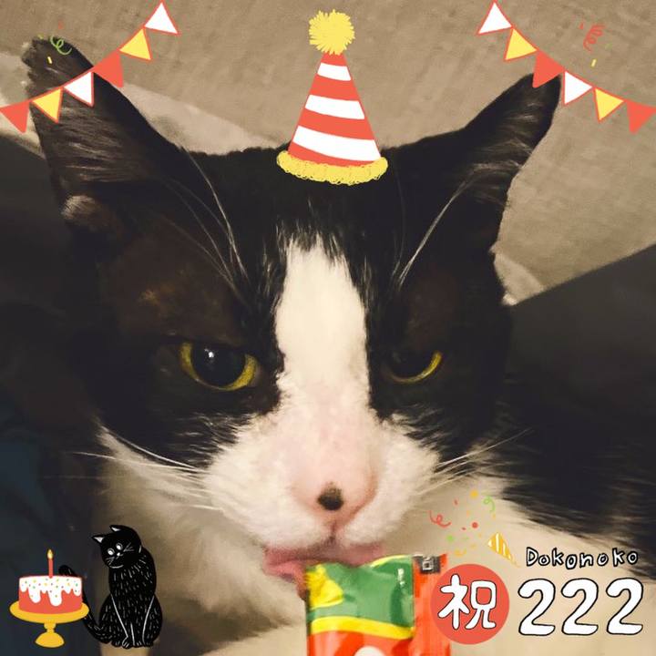 Af7935c0 c650 4b0c bc3a 5f67049a4aac 1645527267761