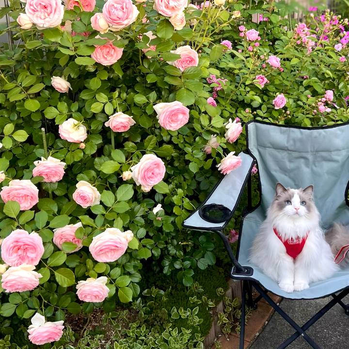 Af7968d8 f138 44cc a3da 9984d24695cd 1715573389552