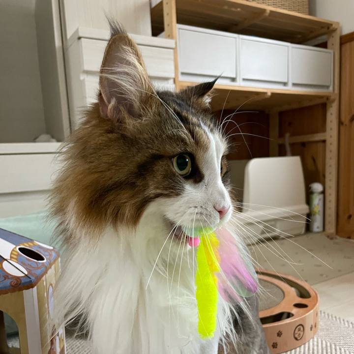 Af7973ab 28a1 4e82 b056 b8b992ad4e8e 1687554533242