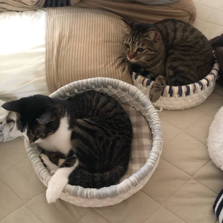 Af79742a a600 480b b9b6 33f566f0181b 1598386779190