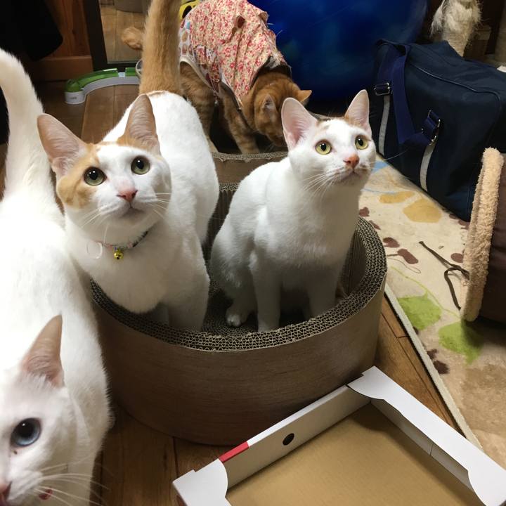 Af79b541 918d 4f06 b0dd 535c2d33f743 1518699452677