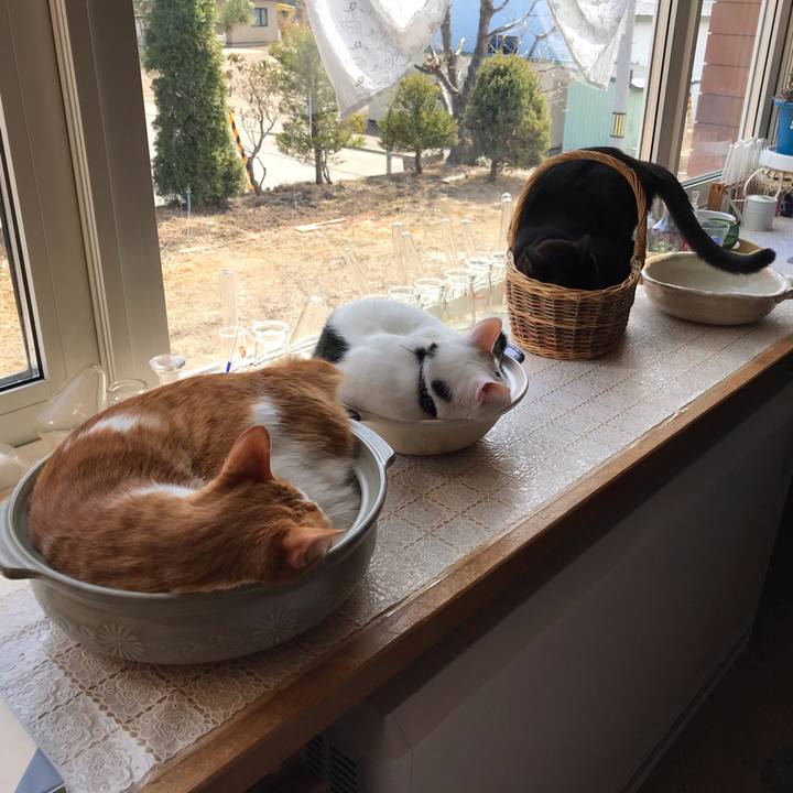 Af79d7a9 145d 4339 97f8 5d5acbefa570 1587699753332