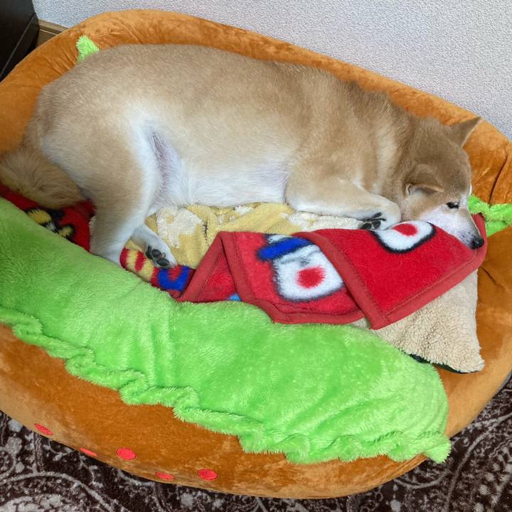 Af79f4d8 c615 4878 b20a baae54830697 1613909514437