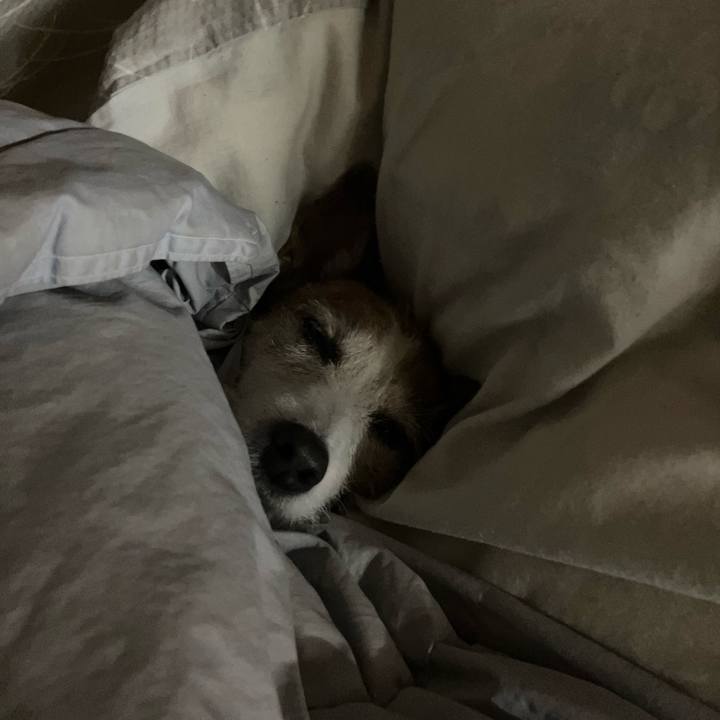 Af7a229f 31d7 4a7a b0eb 86b60487e4a4 1674602088425