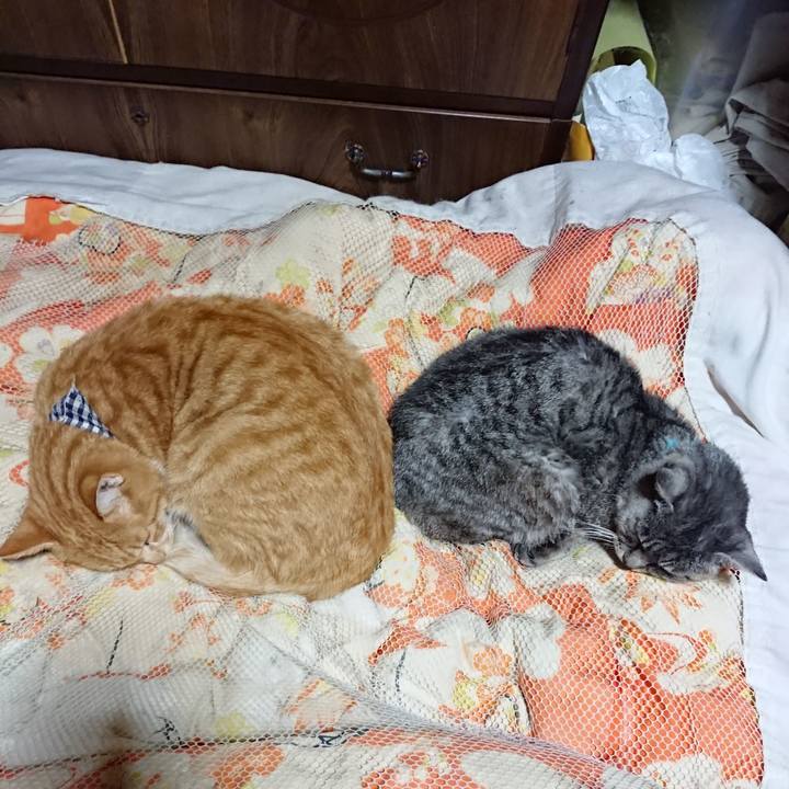 Af7a896d 1fcb 4c32 8ece 4e83dfa108cf 1572178451995