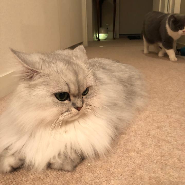 Af7aafc6 3033 49c8 814c c949cab04f6d 1542285402949