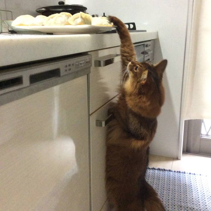 Af7aba82 9313 4290 9005 98aa166ae95f 1622540406203