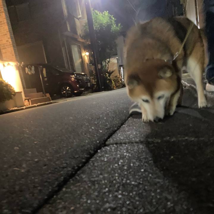 Af7abd12 6a78 4ce7 9b1b 93952752c537 1697546134665