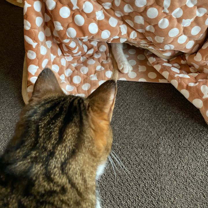 Af7ac1dc d12c 445a aefb 0558732f48b5 1670468467949