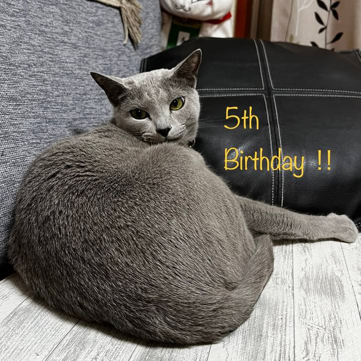 Af7ac91e 2877 4ef8 a846 b2c6f72e336c 1654987474001