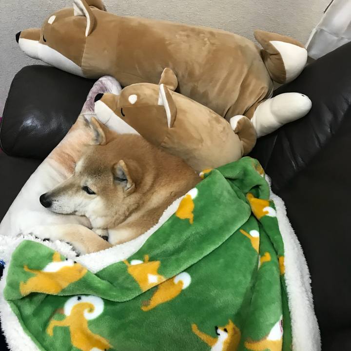 Af7adf29 ec1f 46b7 9fec df40adc8c795 1520212795815