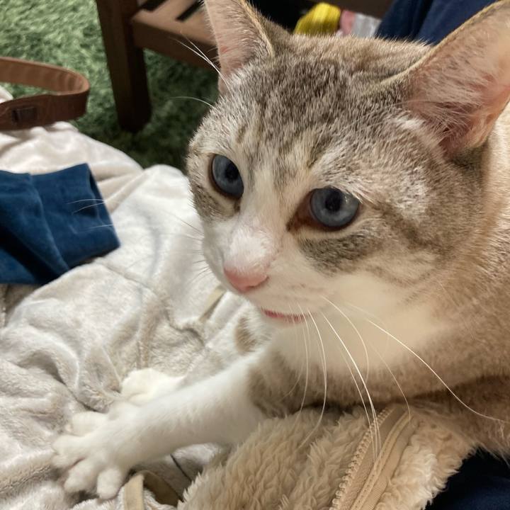 Af7aec16 2ad2 4a47 a6b4 bd9b682547fc 1639274730453