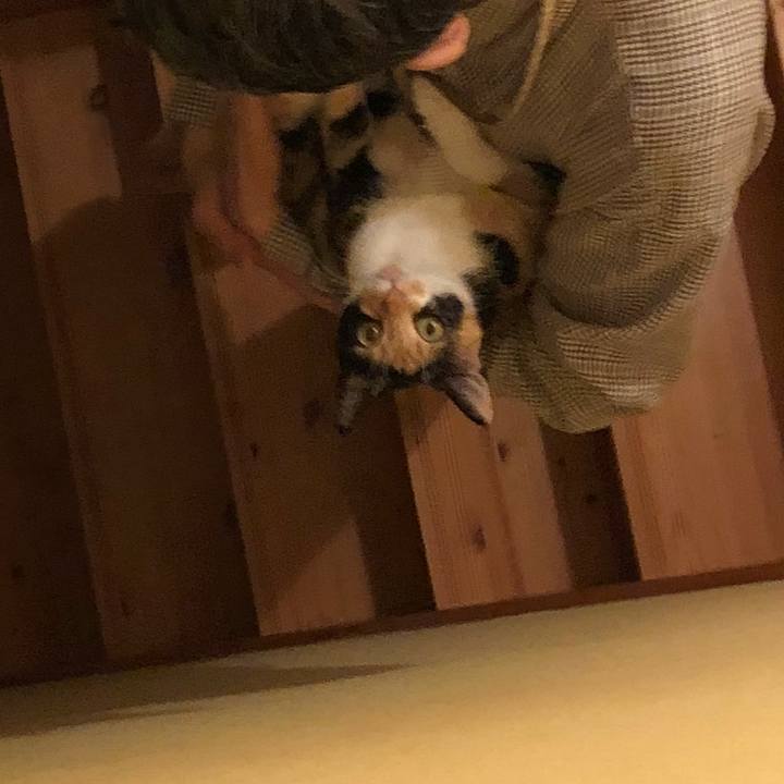 Af7aee85 623e 4a97 8d16 f35ab143664d 1524146788687