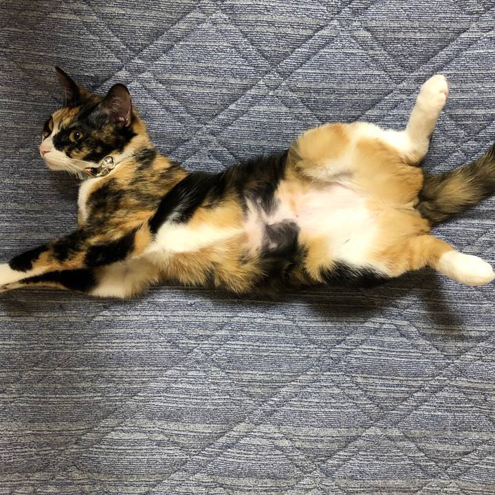 Af7af69d cee0 4d0d 9539 4b7c672a9b4c 1565358008225