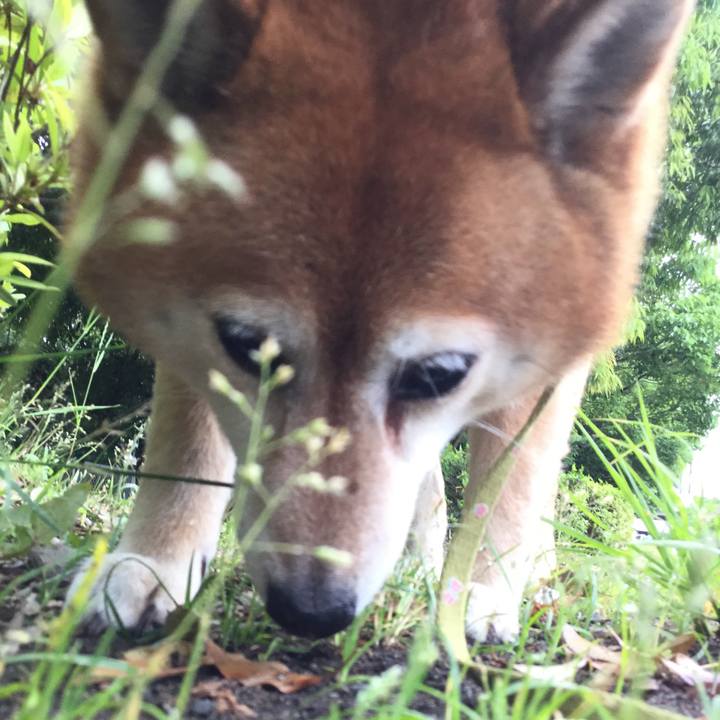 Af7b0da8 aeae 4965 aa36 a44d1d581865 1622785426456