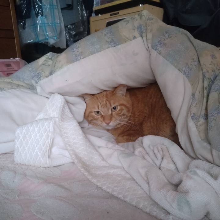 Af7b14d3 1b87 4c77 93d7 6e1dd4f70d14 1708728275052