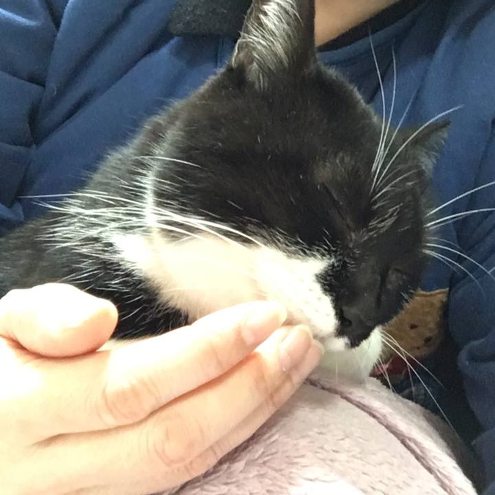 Af7b17e6 3661 44d9 92ea fbc94d8bef4c 1547900617096