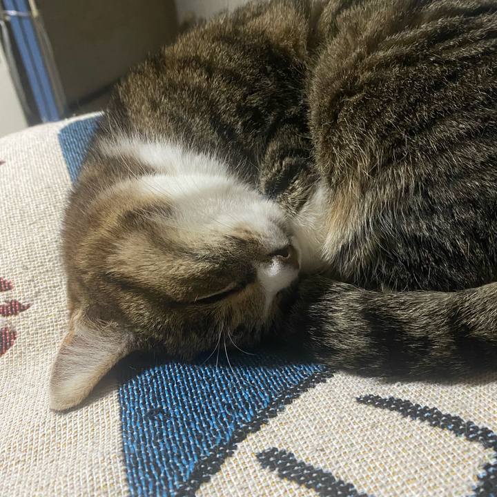 Af7b3346 45da 4539 9962 b669aff84386 1740843336767