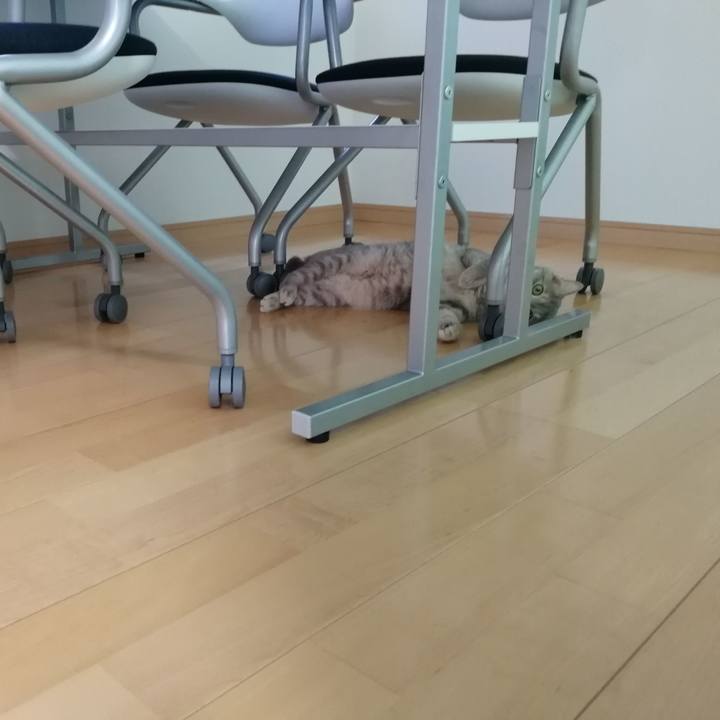 Af7b57fe 606f 4f60 ac76 fcccecdb9491 1535421228397