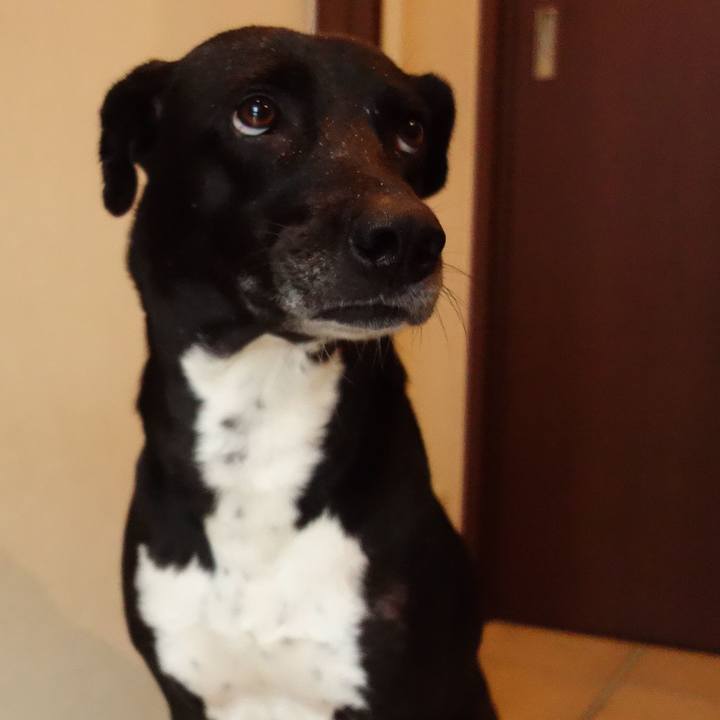 Af7b89d0 ccee 4338 9fb2 8f7abe0a48a7 1618361314177