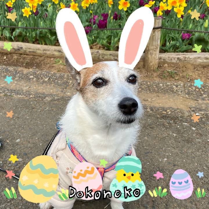 Af7bb259 71c1 43ee 8875 51b684a52223 1712272719307