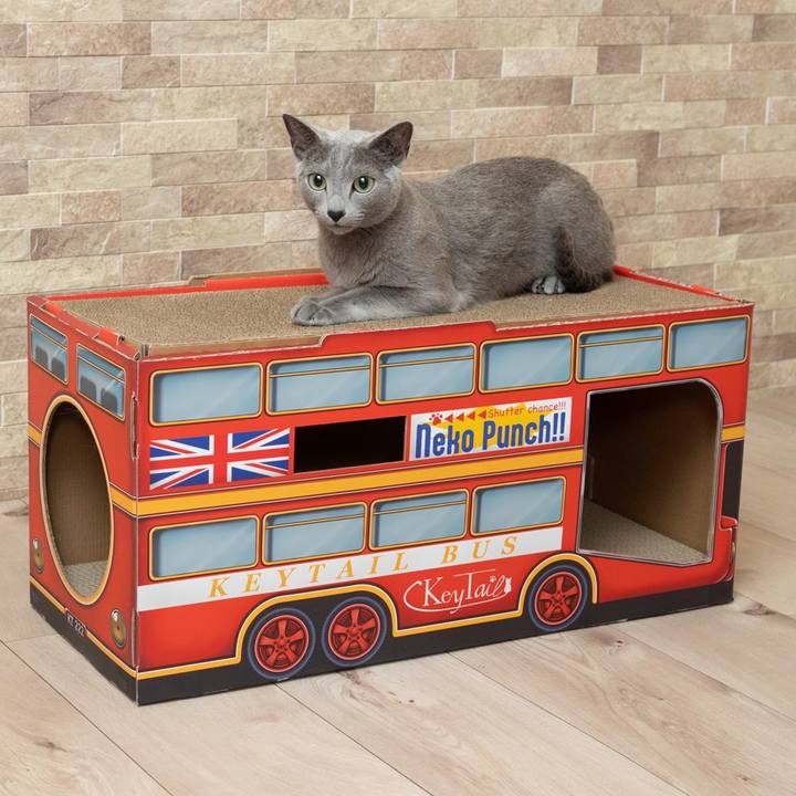 Af7bb9ee 172b 4cf1 8f00 88658d3d8587 1685121369248