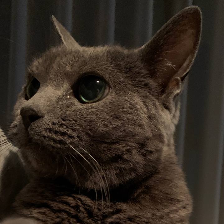 Af7bd972 3c11 445d a338 fa0bc48e899a 1635338037116