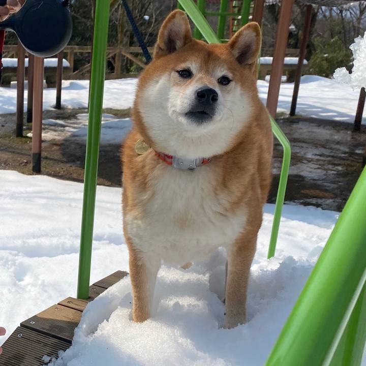 Af7be022 cb1f 4104 a10c ece712f0814f 1615386006136